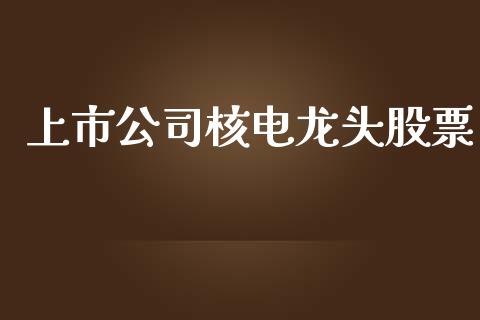 上市公司核电龙头股票_https://qh.lansai.wang_期货怎么玩_第1张