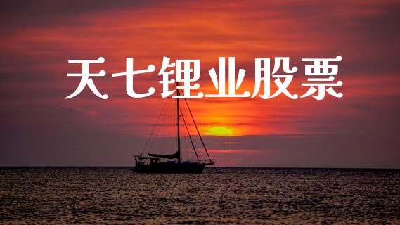 天七锂业股票_https://qh.lansai.wang_期货喊单_第1张