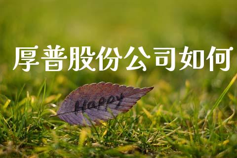 厚普股份公司如何_https://qh.lansai.wang_股票技术分析_第1张