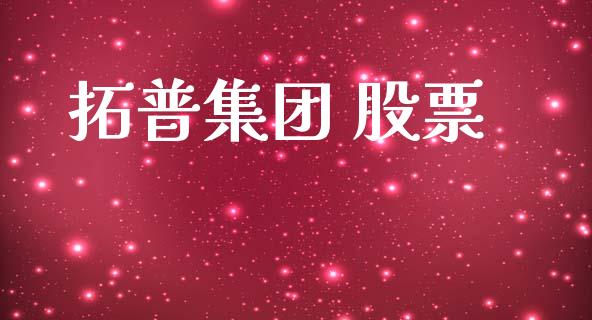 拓普集团 股票_https://qh.lansai.wang_期货怎么玩_第1张