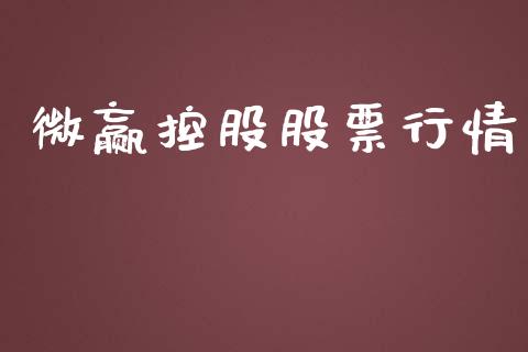 微赢控股股票行情_https://qh.lansai.wang_股票新闻_第1张