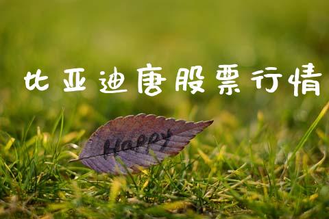 比亚迪唐股票行情_https://qh.lansai.wang_新股数据_第1张