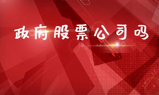 政府股票公司吗_https://qh.lansai.wang_期货理财_第1张
