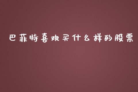 巴菲特喜欢买什么样的股票_https://qh.lansai.wang_新股数据_第1张