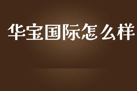 华宝国际怎么样_https://qh.lansai.wang_股票新闻_第1张