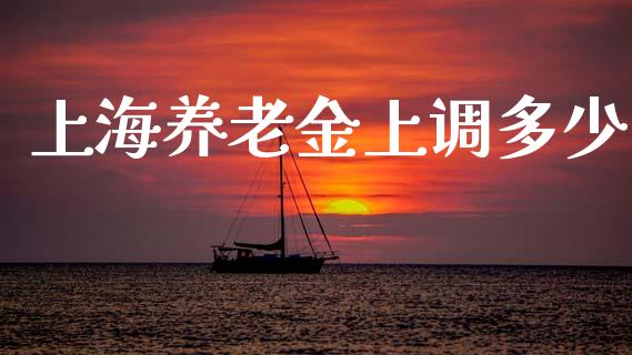 上海养老金上调多少_https://qh.lansai.wang_股票技术分析_第1张