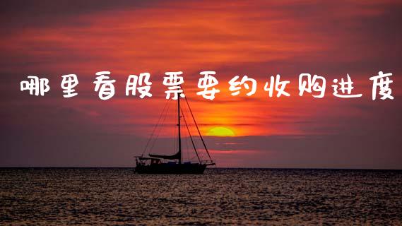 哪里看股票要约收购进度_https://qh.lansai.wang_新股数据_第1张