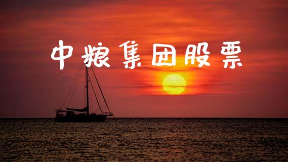 中粮集团股票_https://qh.lansai.wang_期货喊单_第1张