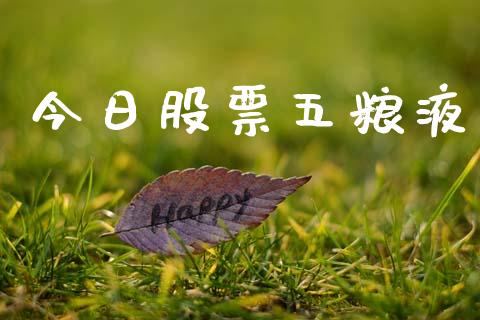 今日股票五粮液_https://qh.lansai.wang_期货喊单_第1张