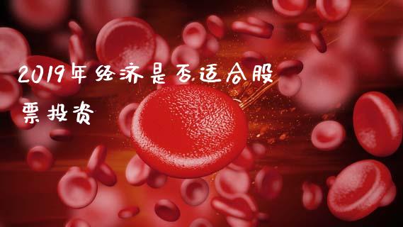 2019年经济是否适合股票投资_https://qh.lansai.wang_期货理财_第1张
