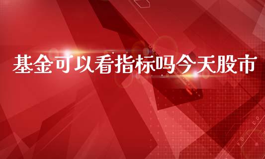 基金可以看指标吗今天股市_https://qh.lansai.wang_期货理财_第1张