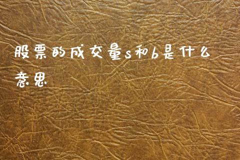 股票的成交量s和b是什么意思_https://qh.lansai.wang_期货喊单_第1张