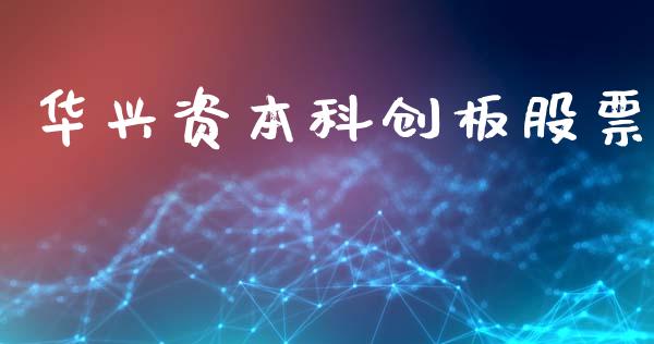 华兴资本科创板股票_https://qh.lansai.wang_期货怎么玩_第1张