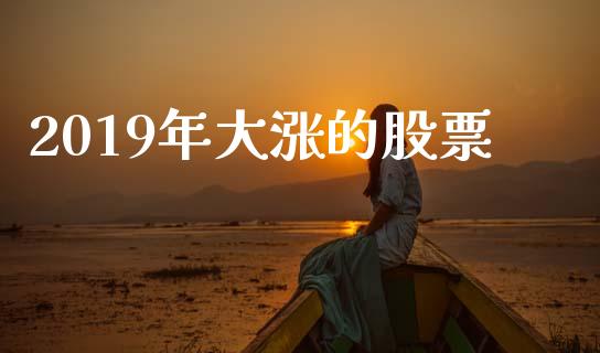 2019年大涨的股票_https://qh.lansai.wang_期货怎么玩_第1张