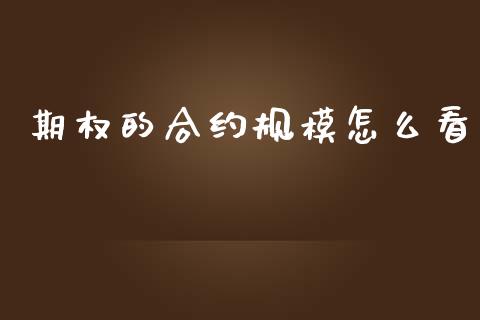 期权的合约规模怎么看_https://qh.lansai.wang_期货喊单_第1张