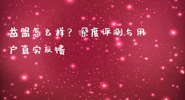益盟怎么样？深度评测与用户真实反馈_https://qh.lansai.wang_海康威视股票_第1张