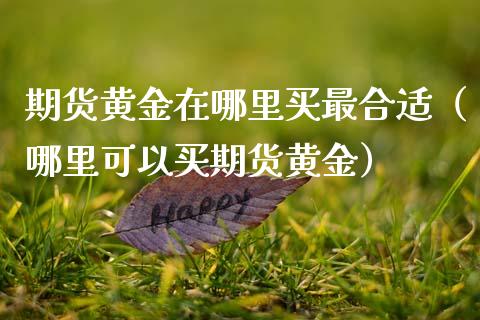 期货黄金在哪里买最合适（哪里可以买期货黄金）_https://qh.lansai.wang_股票技术分析_第1张