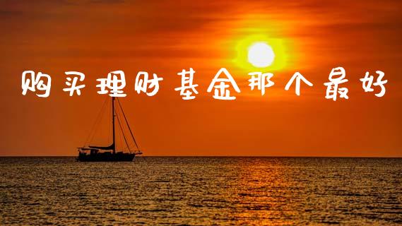 购买理财基金那个最好_https://qh.lansai.wang_期货理财_第1张