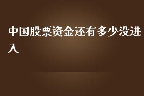 中国股票资金还有多少没进入_https://qh.lansai.wang_期货喊单_第1张