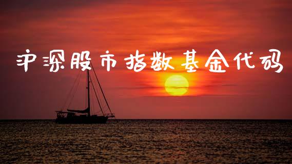 沪深股市指数基金代码_https://qh.lansai.wang_期货理财_第1张