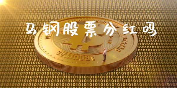 马钢股票分红吗_https://qh.lansai.wang_期货理财_第1张