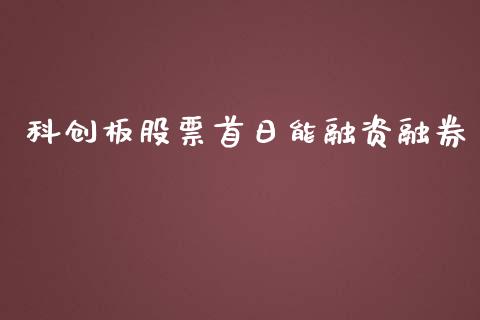 科创板股票首日能融资融券_https://qh.lansai.wang_期货喊单_第1张