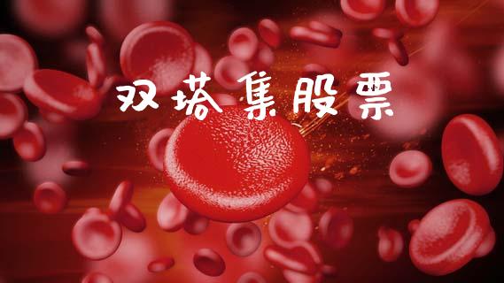 双塔集股票_https://qh.lansai.wang_新股数据_第1张
