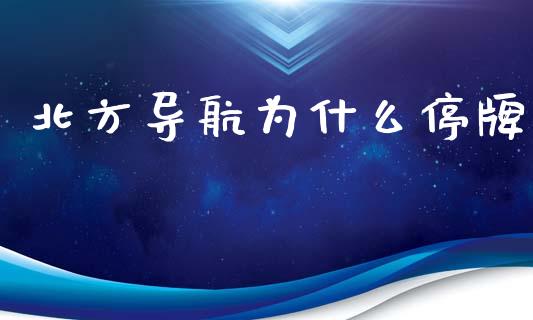 北方导航为什么停牌_https://qh.lansai.wang_新股数据_第1张