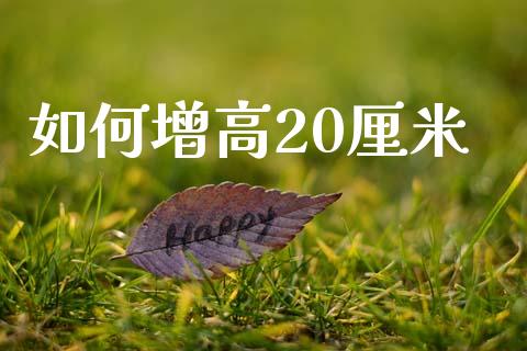 如何增高20厘米_https://qh.lansai.wang_股票技术分析_第1张