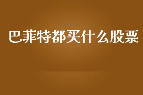 巴菲特都买什么股票_https://qh.lansai.wang_期货理财_第1张