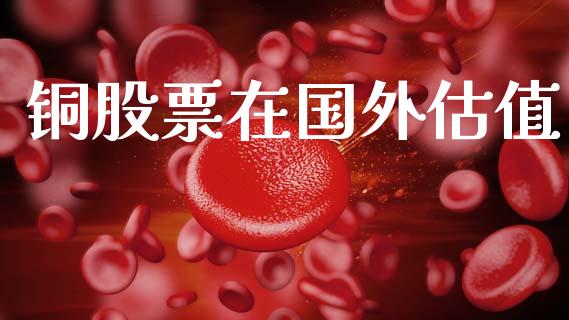铜股票在国外估值_https://qh.lansai.wang_期货喊单_第1张