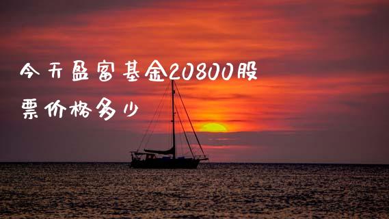 今天盈富基金20800股票价格多少_https://qh.lansai.wang_海康威视股票_第1张