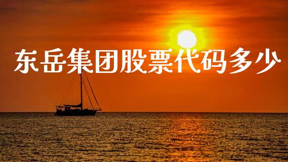 东岳集团股票代码多少_https://qh.lansai.wang_期货理财_第1张