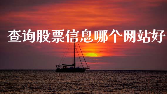 查询股票信息哪个网站好_https://qh.lansai.wang_期货理财_第1张