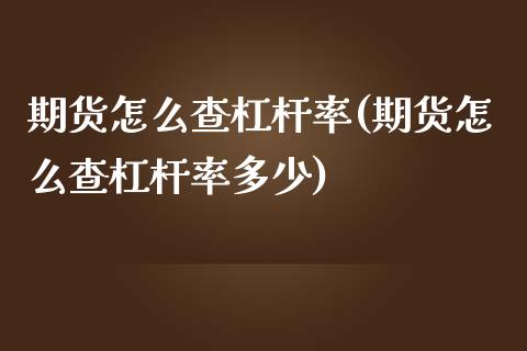 期货怎么查杠杆率(期货怎么查杠杆率多少)_https://qh.lansai.wang_期货怎么玩_第1张