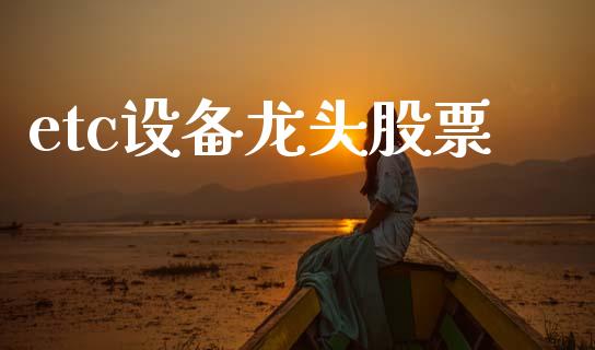 etc设备龙头股票_https://qh.lansai.wang_新股数据_第1张