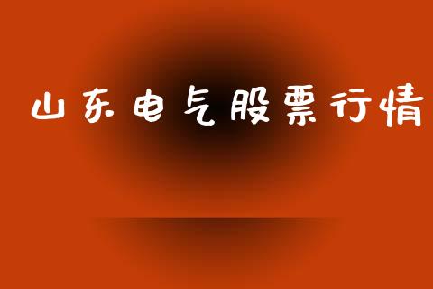 山东电气股票行情_https://qh.lansai.wang_期货喊单_第1张