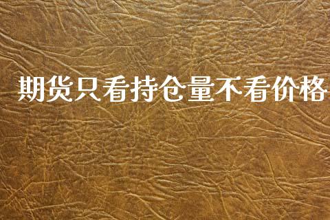 期货只看持仓量不看价格_https://qh.lansai.wang_新股数据_第1张