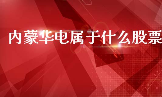 内蒙华电属于什么股票_https://qh.lansai.wang_新股数据_第1张