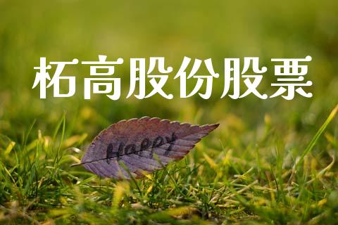 柘高股份股票_https://qh.lansai.wang_新股数据_第1张