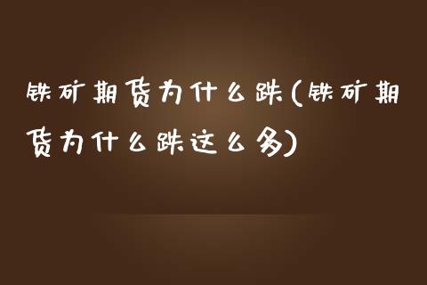 铁矿期货为什么跌(铁矿期货为什么跌这么多)_https://qh.lansai.wang_期货理财_第1张