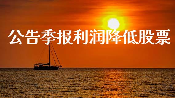 公告季报利润降低股票_https://qh.lansai.wang_新股数据_第1张