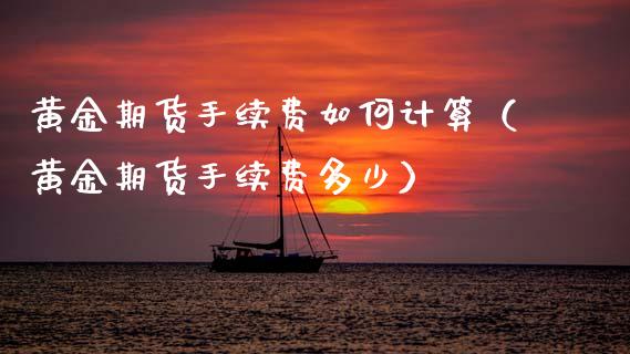 黄金期货手续费如何计算（黄金期货手续费多少）_https://qh.lansai.wang_期货理财_第1张