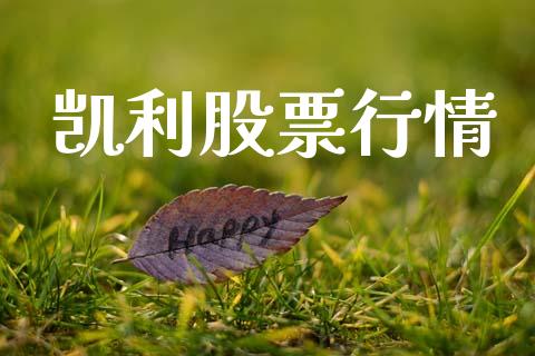 凯利股票行情_https://qh.lansai.wang_股票新闻_第1张