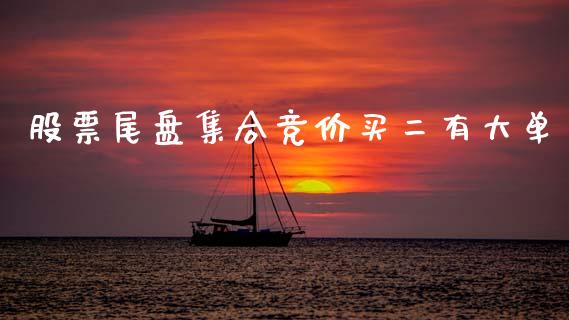 股票尾盘集合竞价买二有大单_https://qh.lansai.wang_新股数据_第1张