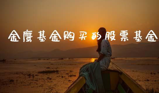 金鹰基金购买的股票基金_https://qh.lansai.wang_期货理财_第1张