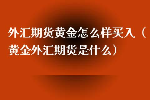 外汇期货黄金怎么样买入（黄金外汇期货是什么）_https://qh.lansai.wang_期货喊单_第1张