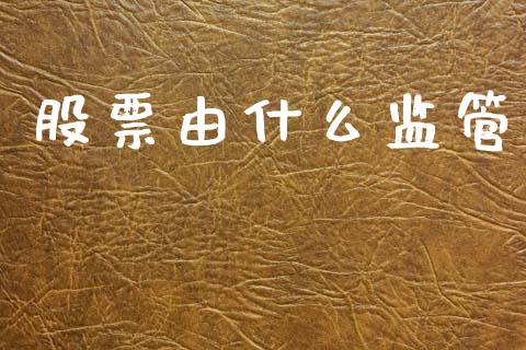 股票由什么监管_https://qh.lansai.wang_期货怎么玩_第1张