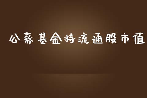 公募基金持流通股市值_https://qh.lansai.wang_期货理财_第1张