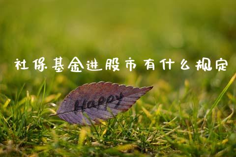 社保基金进股市有什么规定_https://qh.lansai.wang_期货理财_第1张